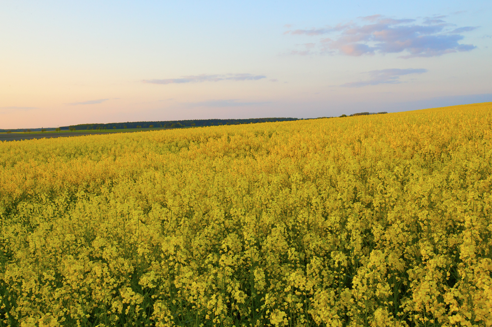 20DU6900   Arbeitskopie 2